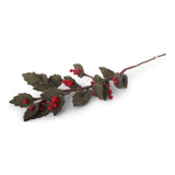 Holly branch