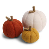 Set de 3 citrouilles