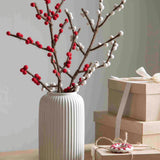 Branches with berries
