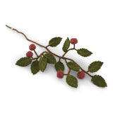Branche de fruits