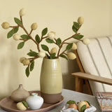 Branche de fruits