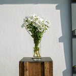 Vase collection épémère 35000 - Q de bouteilles