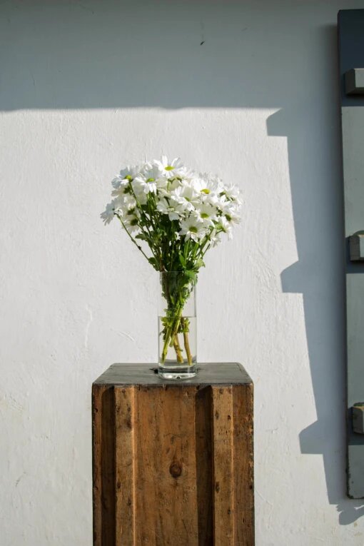 Vase collection épémère 35000 - Q de bouteilles