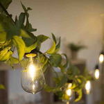 Décoration - Ampoule de substitution pour guirlande Fiorira un giardino