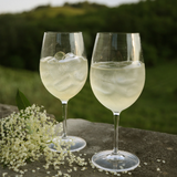 Methacrylate stemmed glass