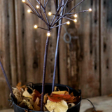 Branche pissenlit lumineux