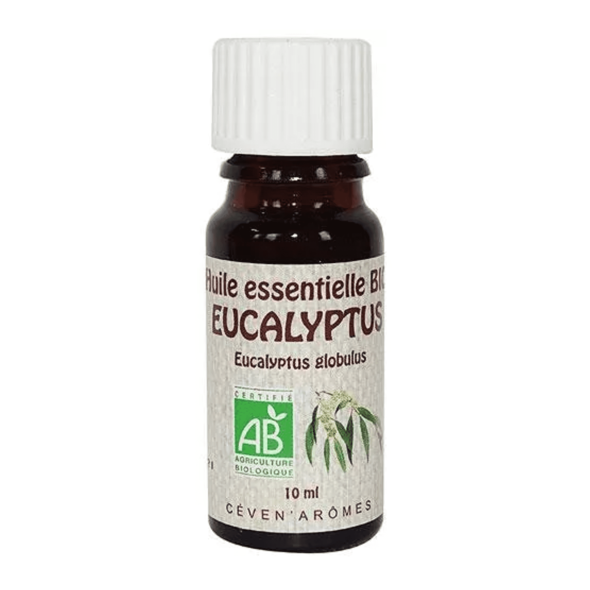 huile essentielle eucalyptus bio - ceven aromes