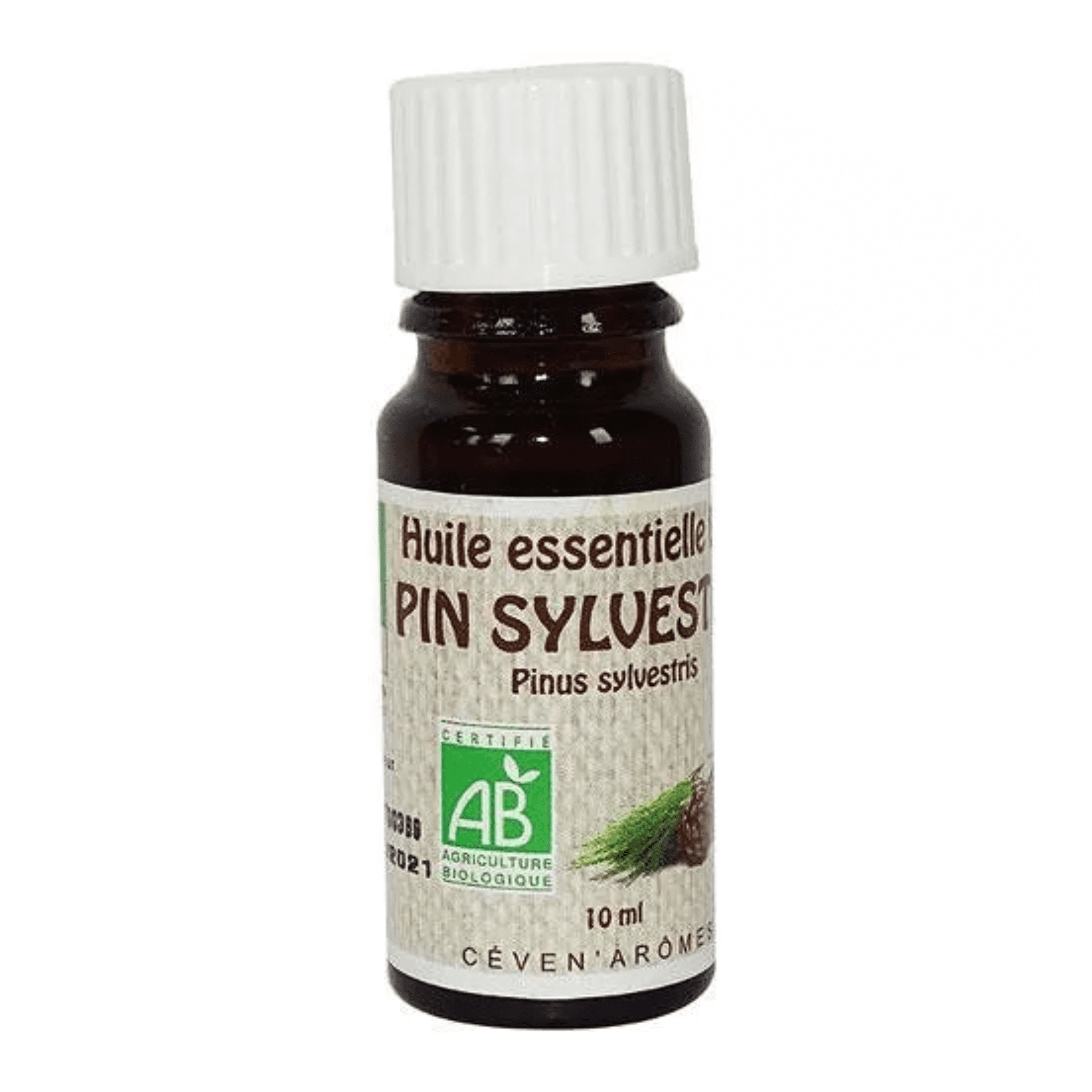 huile essentielle pin sylestre bio - ceven aromes