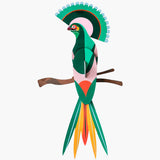 Paradise bird Gili - Studio Roof
