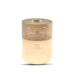 Smart Diffuser Lamp