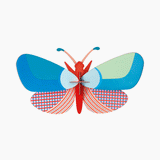 Lily Butterfly