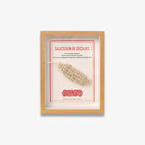 Cadre photo "saucisson de secours" par maison cisson
