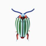 Rainbow Leaf Beetle