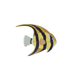 Angelfish