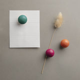 Coffret 6 magnets