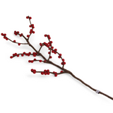 Branches with berries
