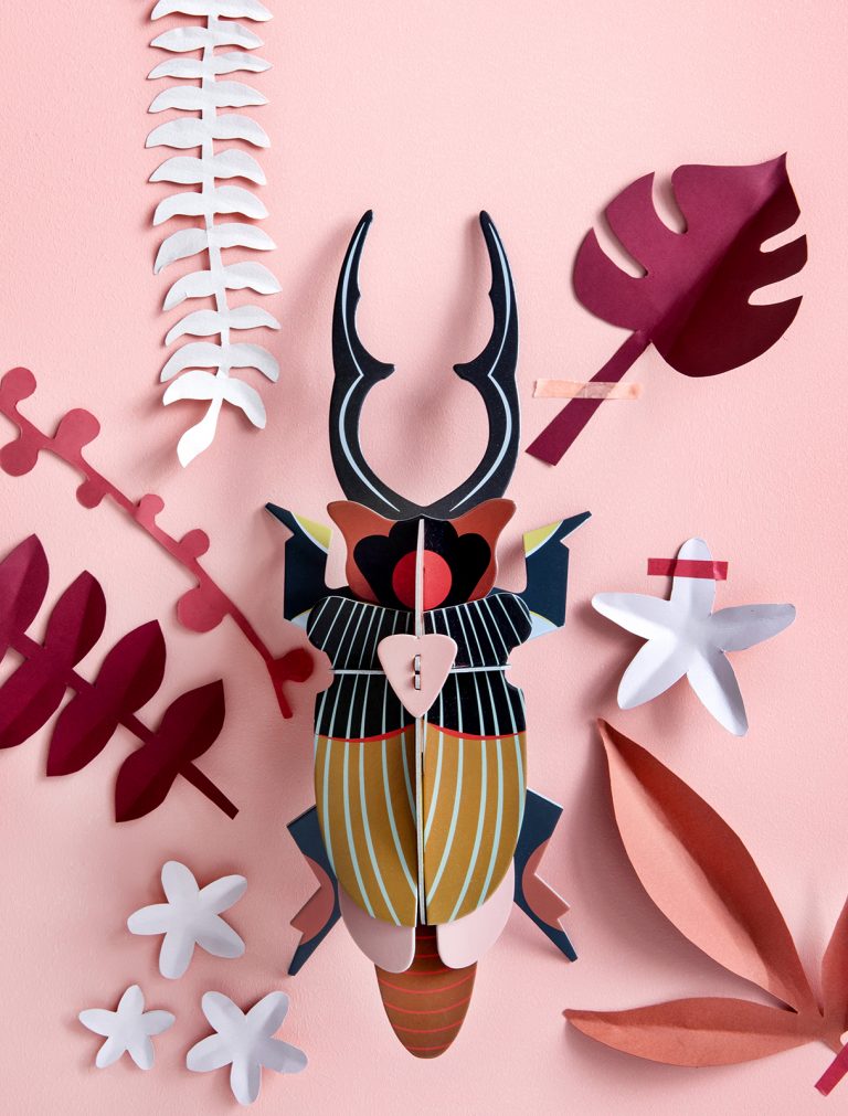 Giant stag beetle - décoration en carton recyclé - studio roof