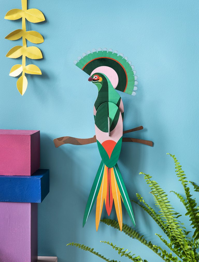Paradise bird Gili - Studio Roof