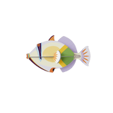 Lagoon Triggerfish
