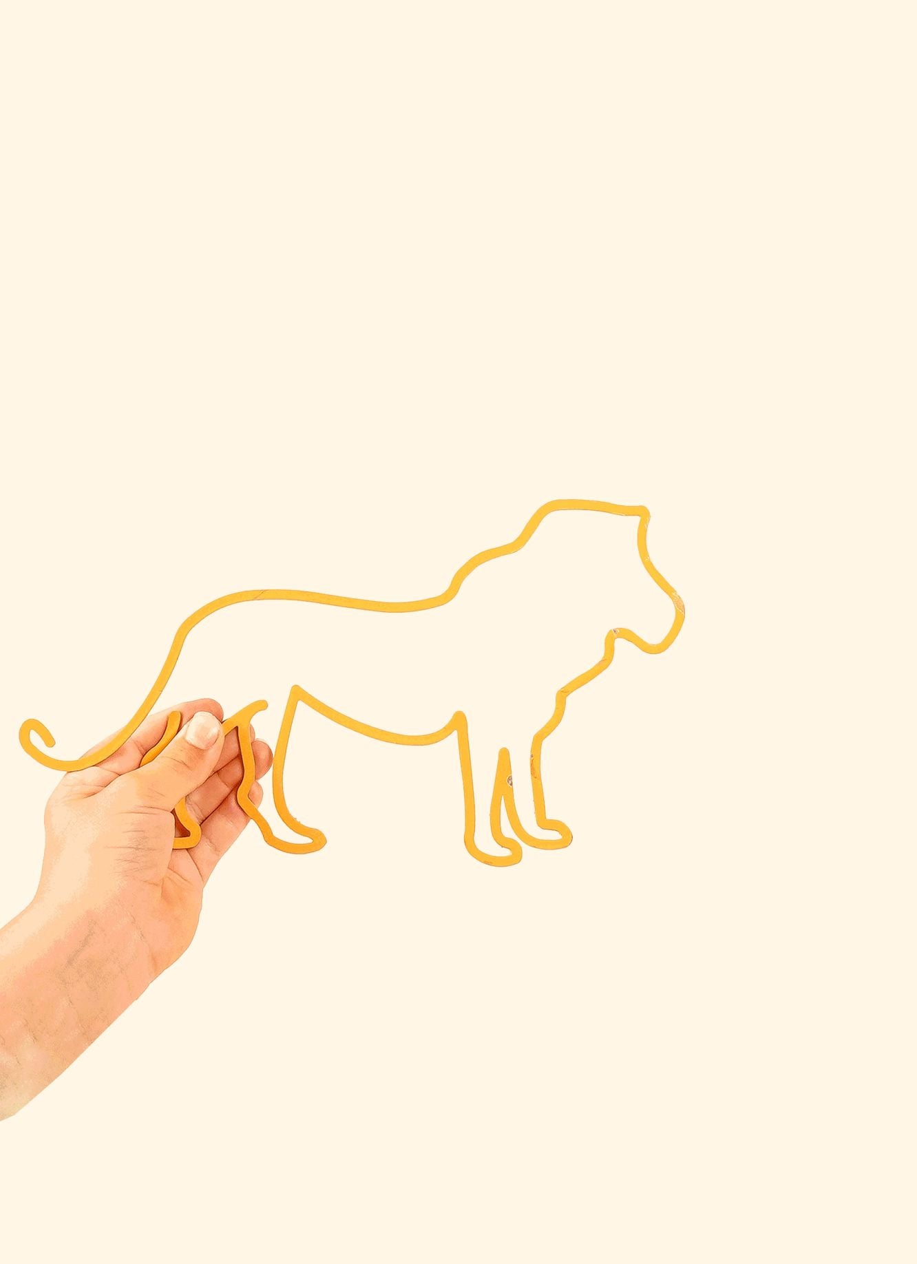 Skyline enfant lion