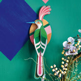 Paradise bird Nias - Studio roof