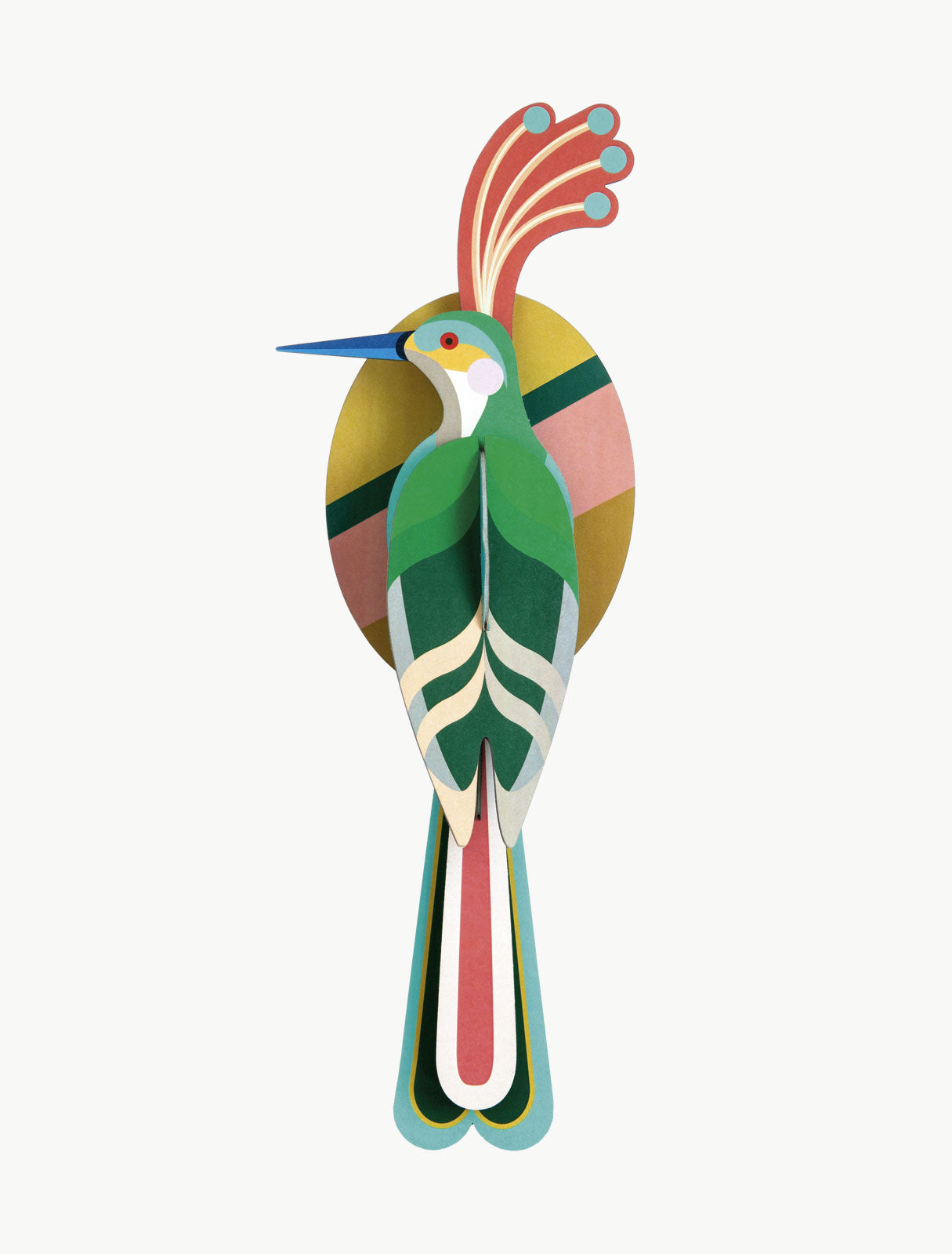 Paradise bird Nias - Studio roof