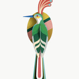 Paradise bird Nias - Studio roof