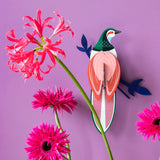 Paradise bird Rani
