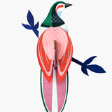 Paradise bird Rani