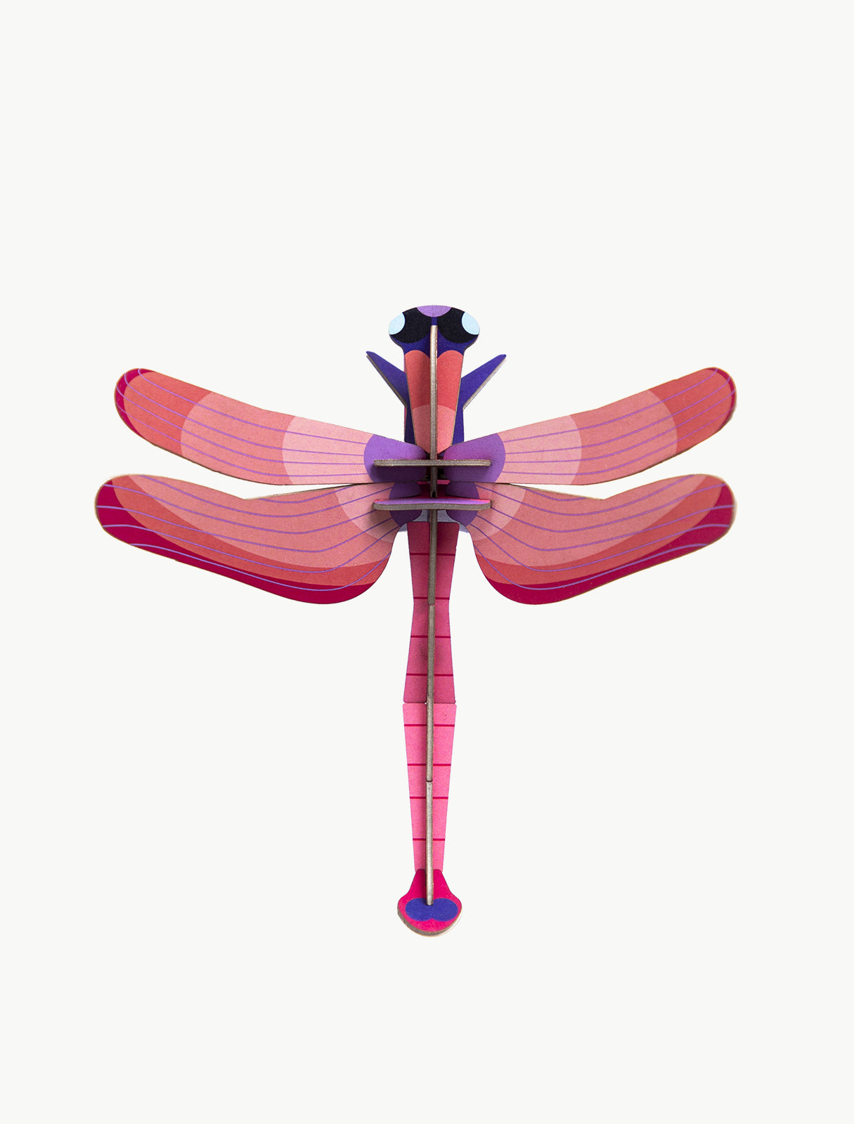 Libellule ruby - Studio Roof