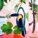 Swinging Toucan