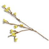 Branche de fleurs