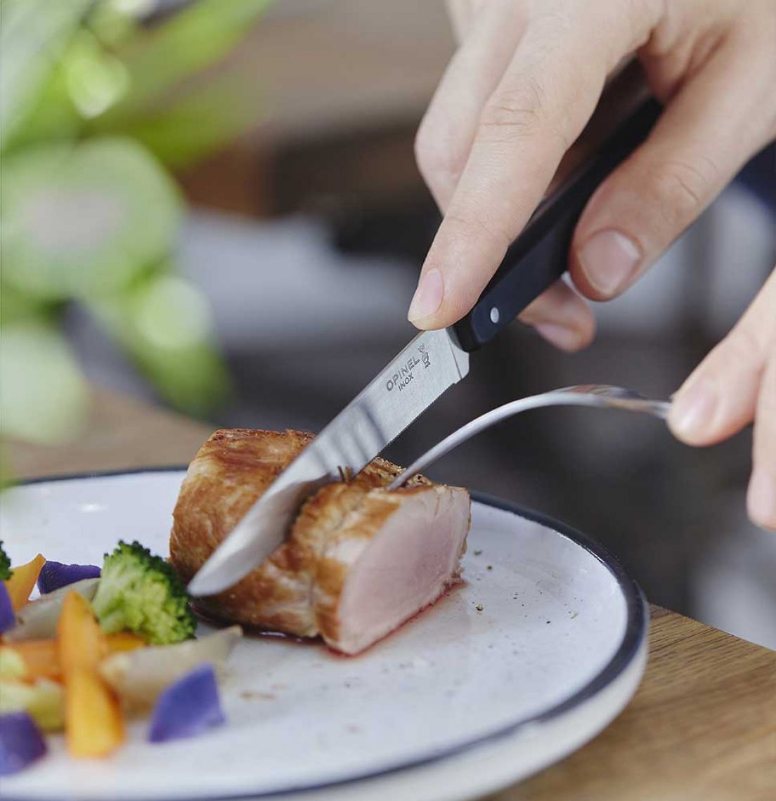 Opinel - 4 couteaux de table n°125 pro