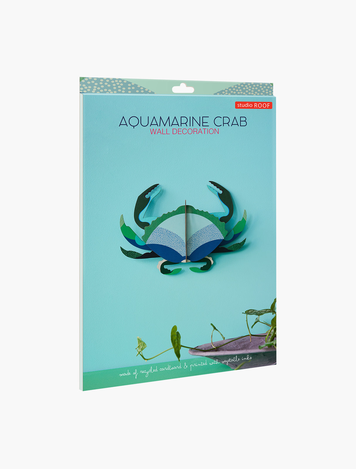 Aquamarine Crab - Studio roof