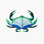 Aquamarine Crab - Studio roof