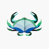Aquamarine Crab - Studio roof