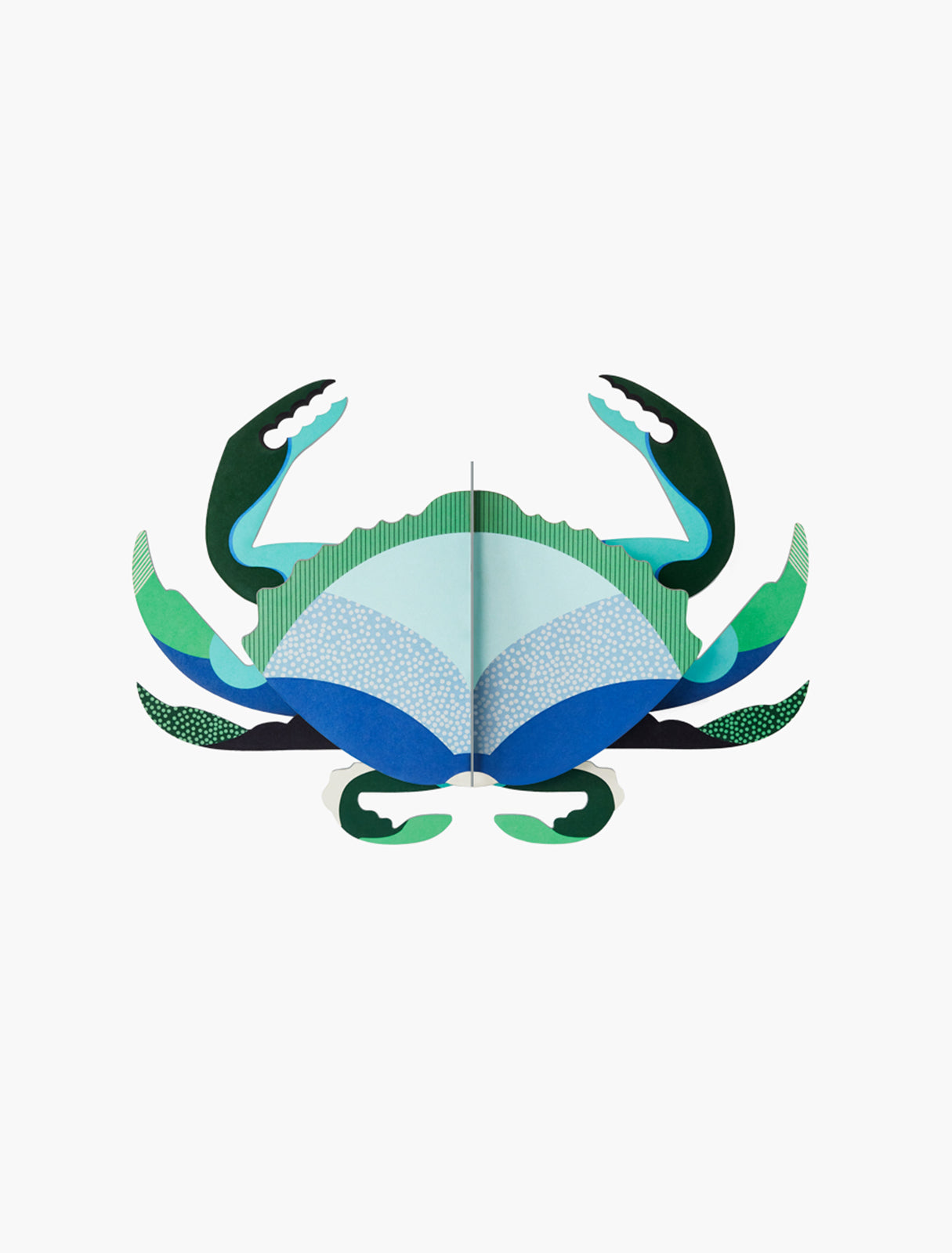 Aquamarine Crab - Studio roof