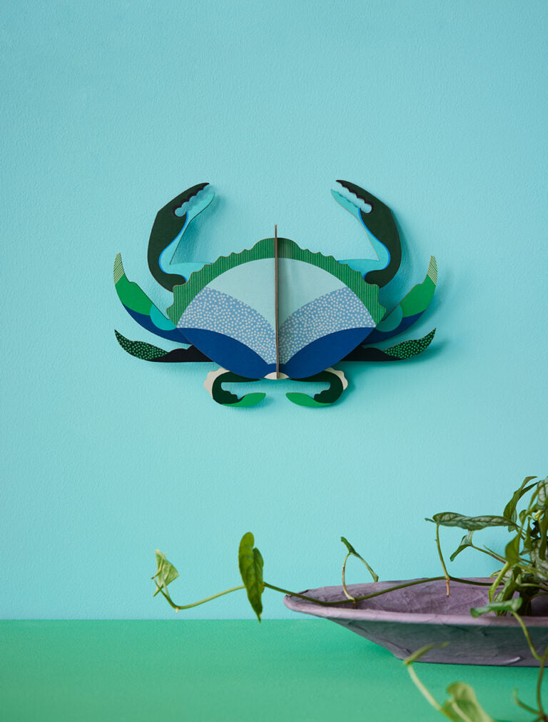 Aquamarine Crab - Studio roof