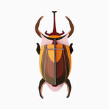 Eléphant Beetle
