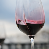 Verre l'Exploreur Oenologie