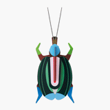 Green fig Beetle