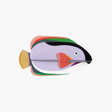 King Angelfish