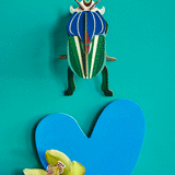 Mimela Scarab Beetle