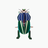 Mimela Scarab Beetle