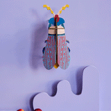 Striped-wing Beetle