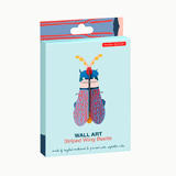 Striped-wing Beetle