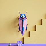 Violet click Beetle