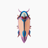 Violet click Beetle