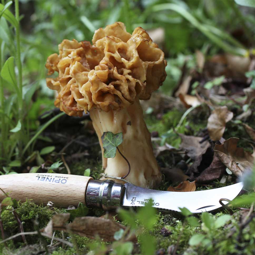 opinel, couteau outdoor, couteau à champignons