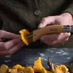 opinel, couteau outdoor, couteau à champignons